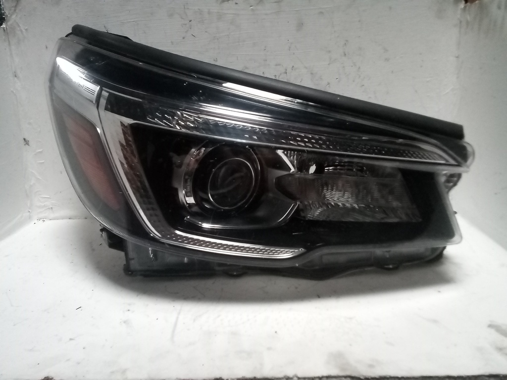 FARO R FORESTER 19-21