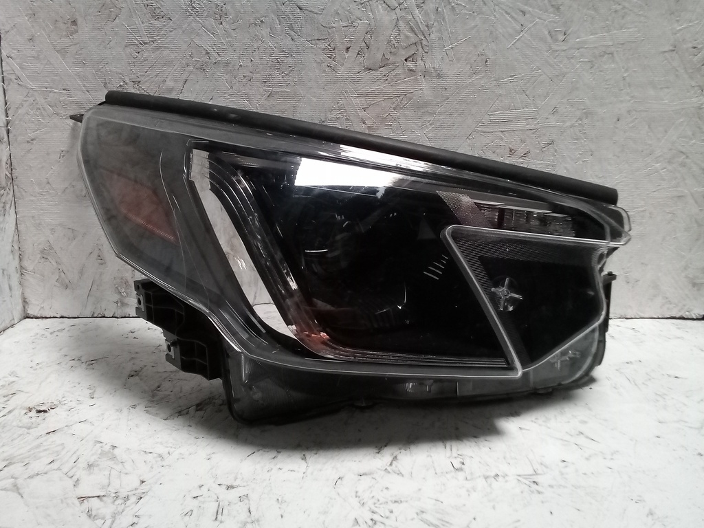 FARO R FORESTER 22-24