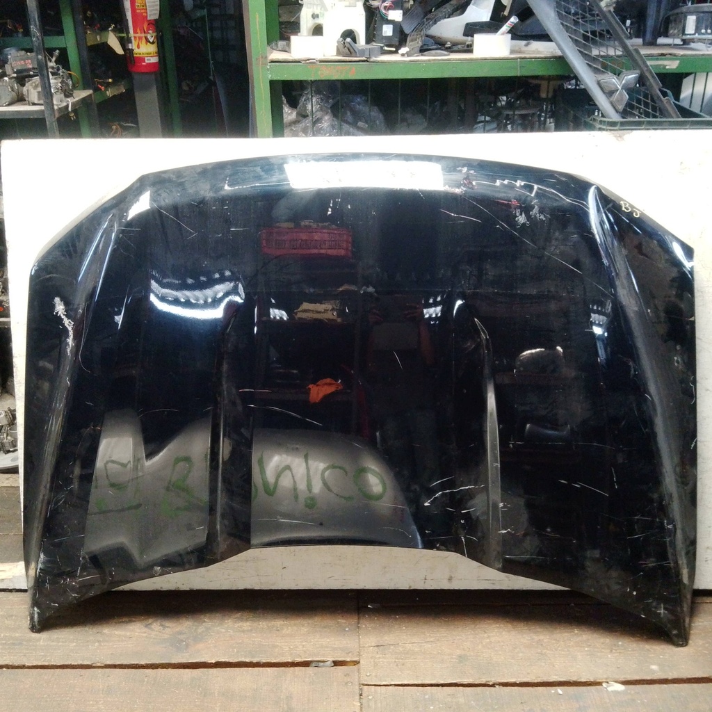CAPO FORD F150