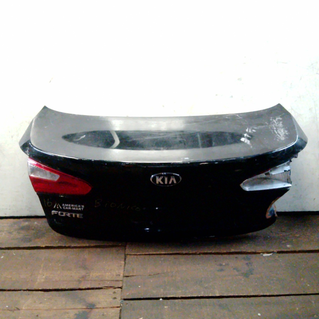 BAUL FORTE 16