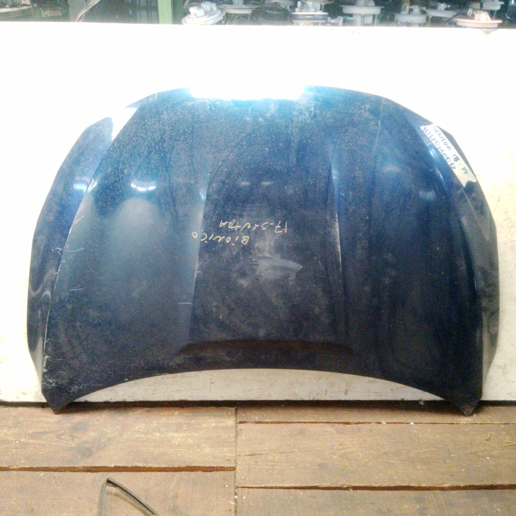 CAPO SENTRA 16-19