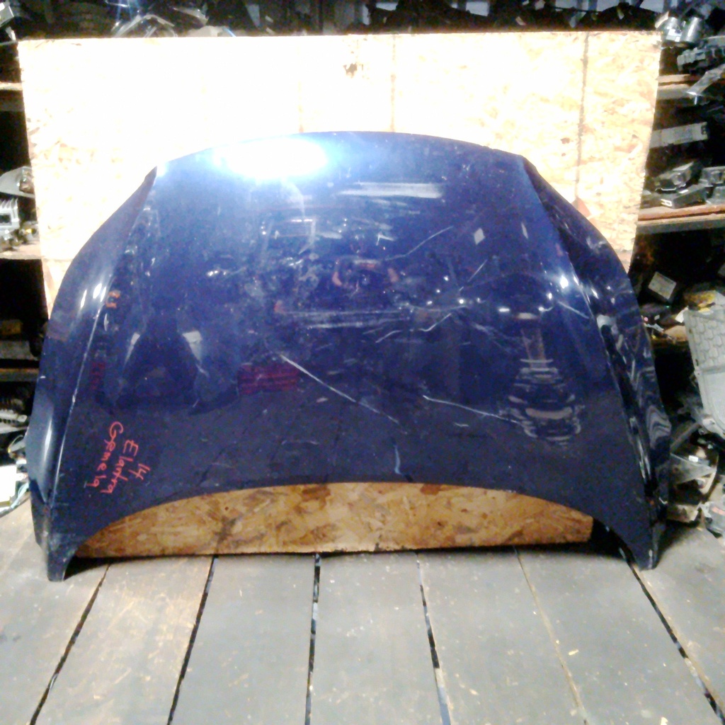 CAPO ELANTRA 14