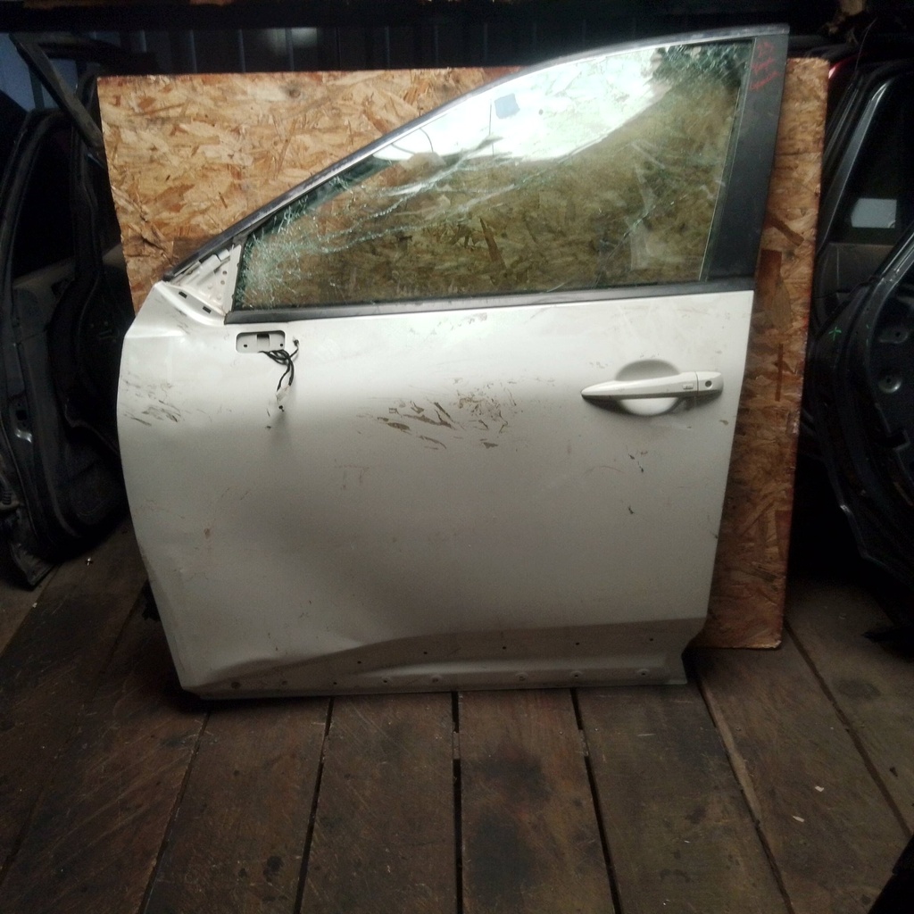 PUERTA DLH ROGUE 23
